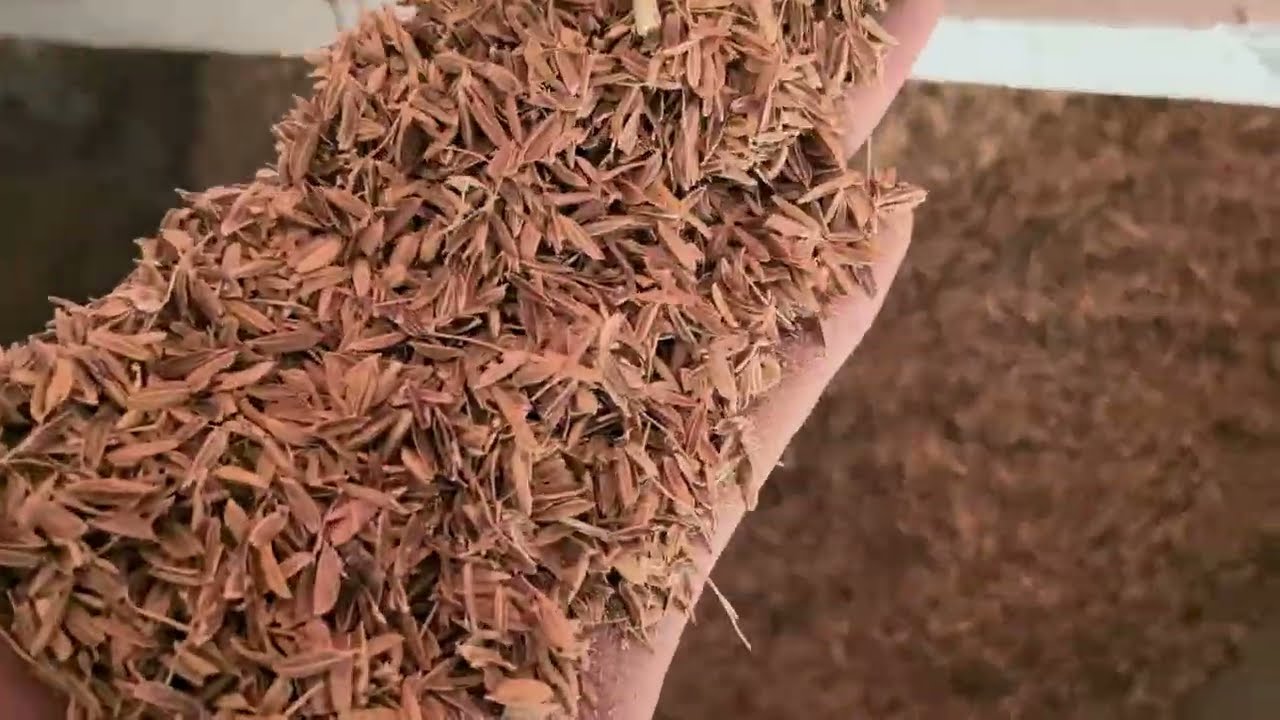 Yulong rice husk pellet making machine price pelet mill Rice husk bio pallet machine 2000kg per hour