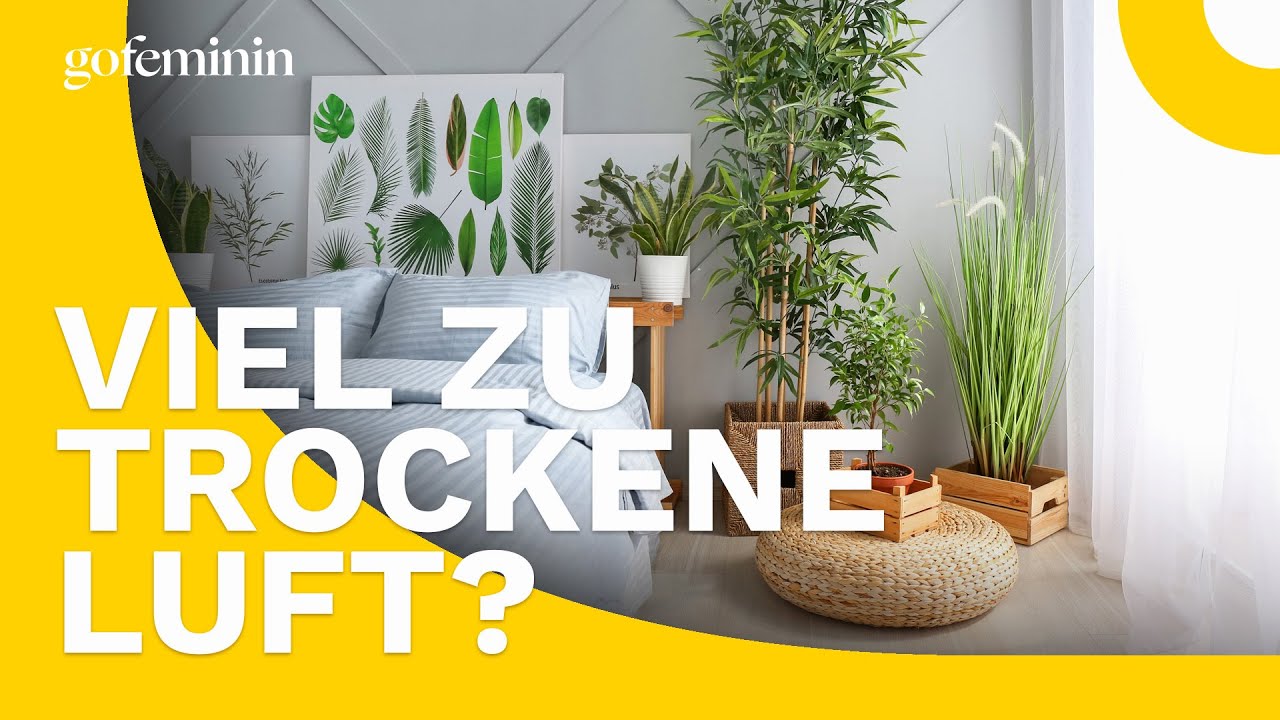 Zu trockene Luft? Diese Tipps helfen