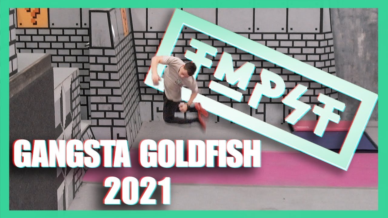 GOLDFISH GANGSTA 2021 - The Collective Movements goes to Tempest Academy