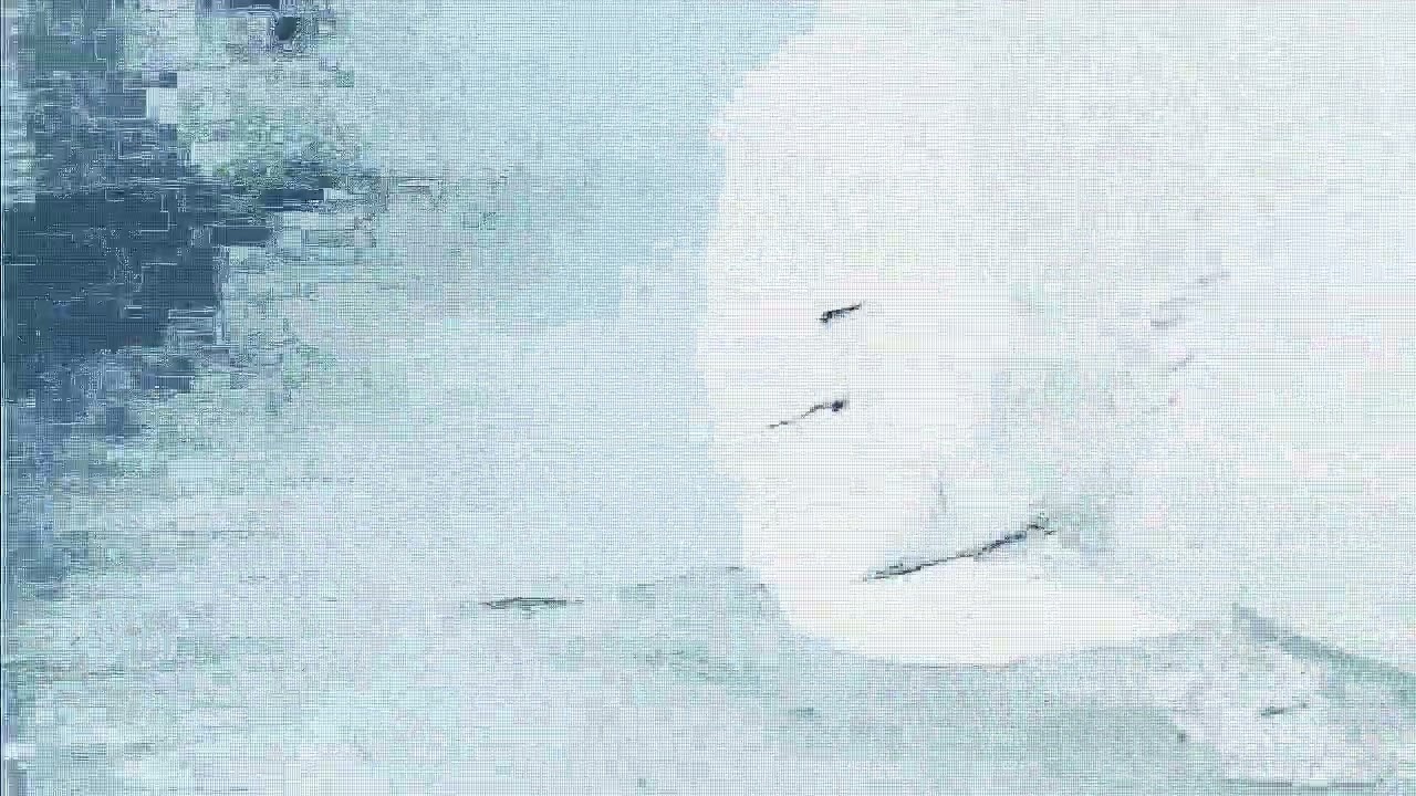 LET U GO [2024 VERSION]