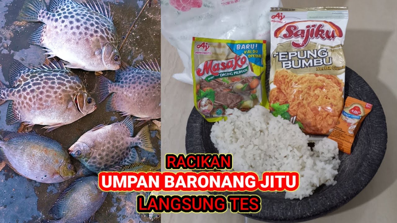 UMPAN BARONANG JITU, LANGSUNG TES, BARONANG DAN KIPERNYA ANTRI.