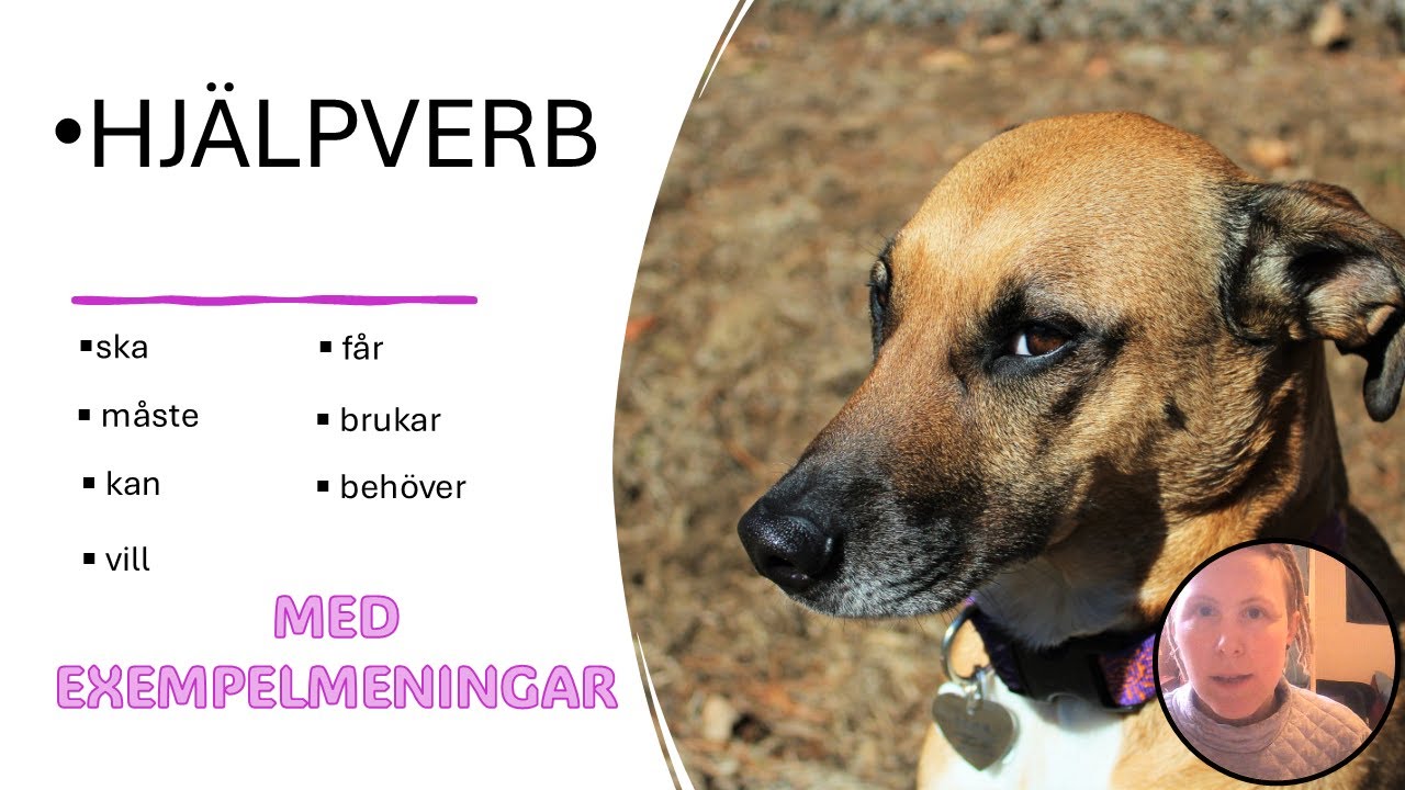 Hjälpverb - Vanliga svenska hjälpverb