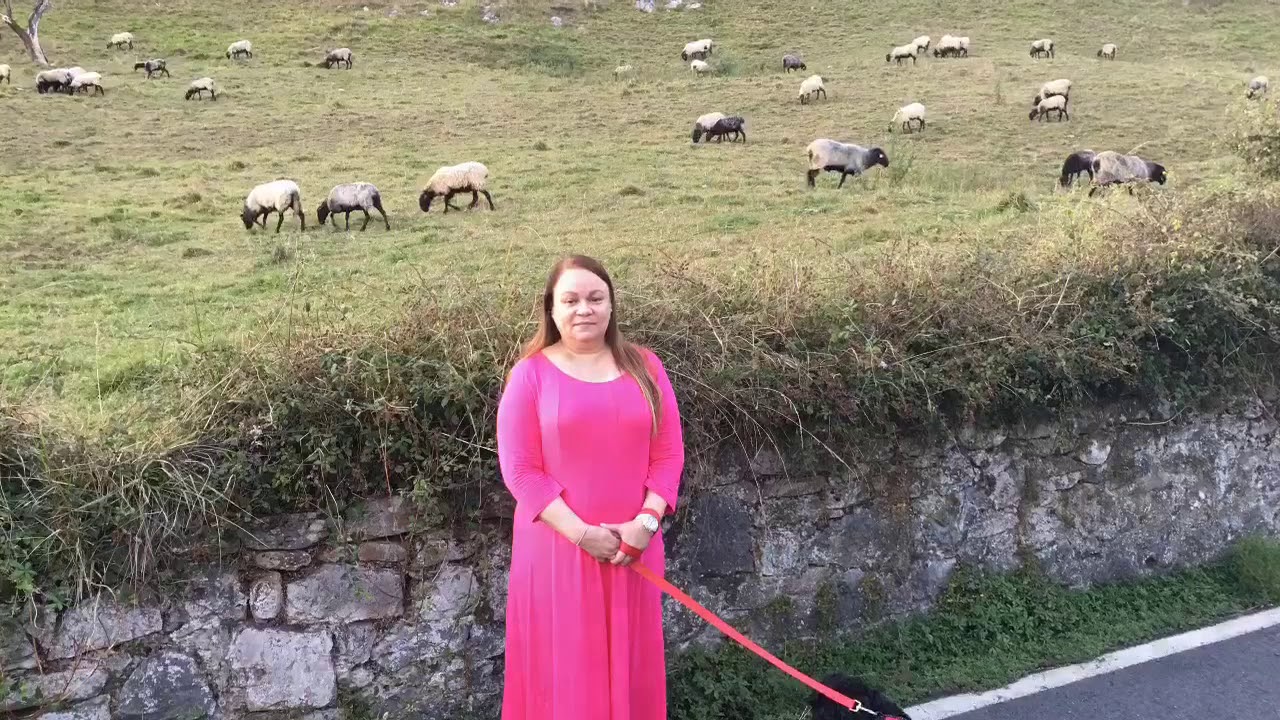Vacaciones en Karrantza y Bilbao 2019