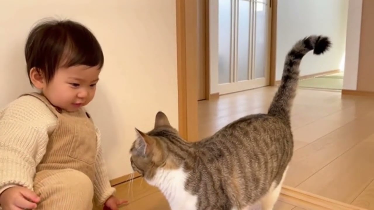 赤ちゃんが猫の名前を呼ぶと…返事みたいに近づいてくる