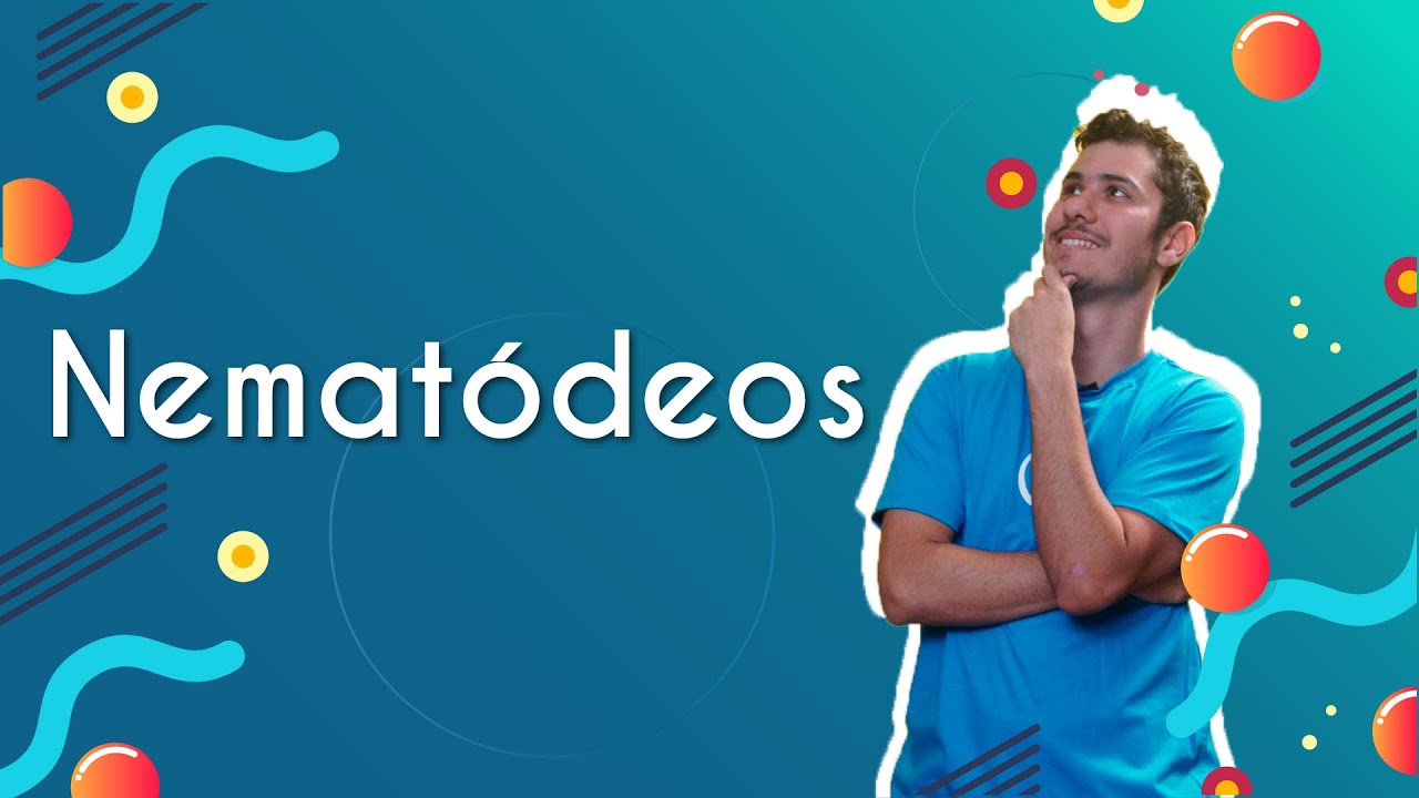 Nemat&oacute;deos - Brasil Escola