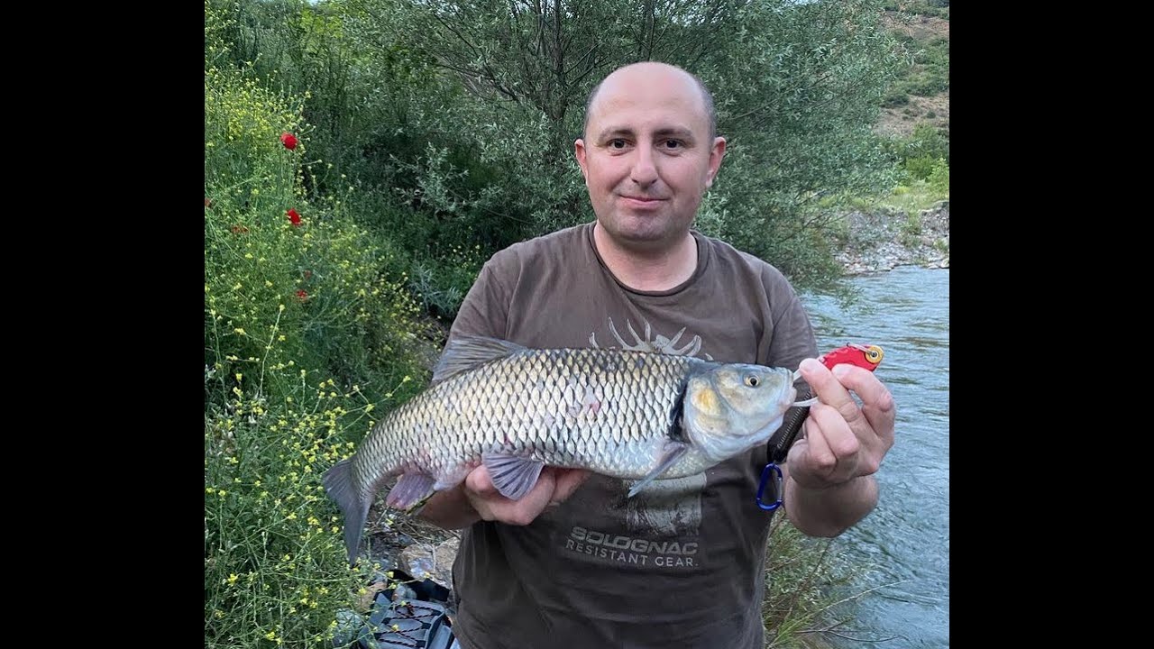 ATÇEK KASNA AVI LRF İLE KASNA AVI