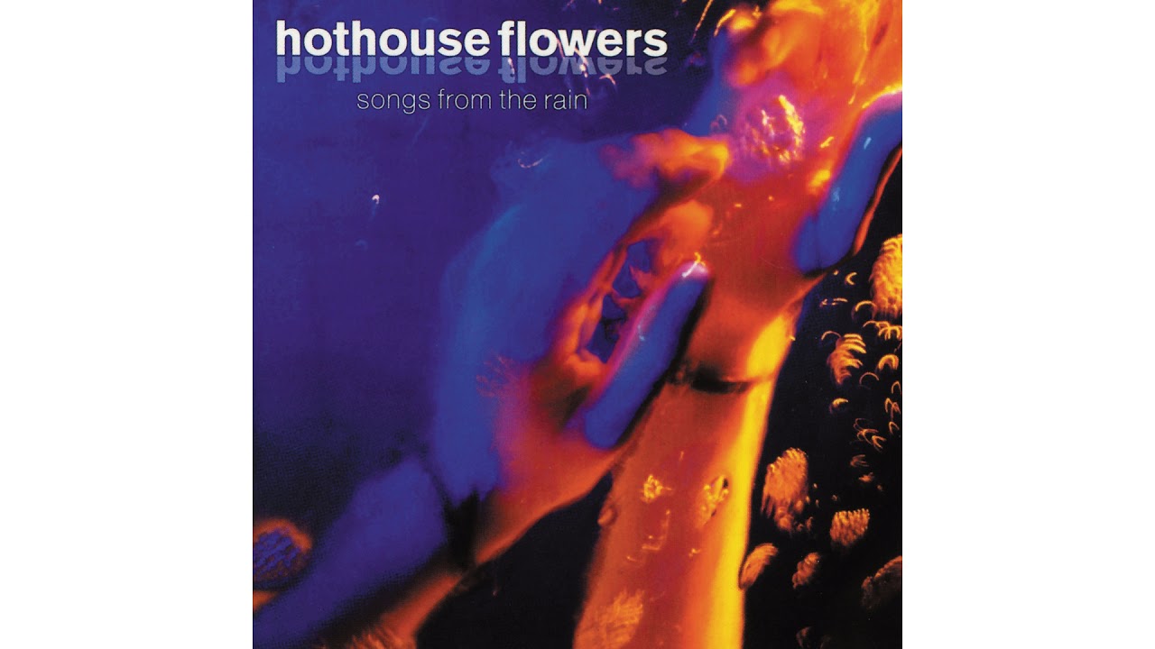 Hothouse Flowers - Your Nature