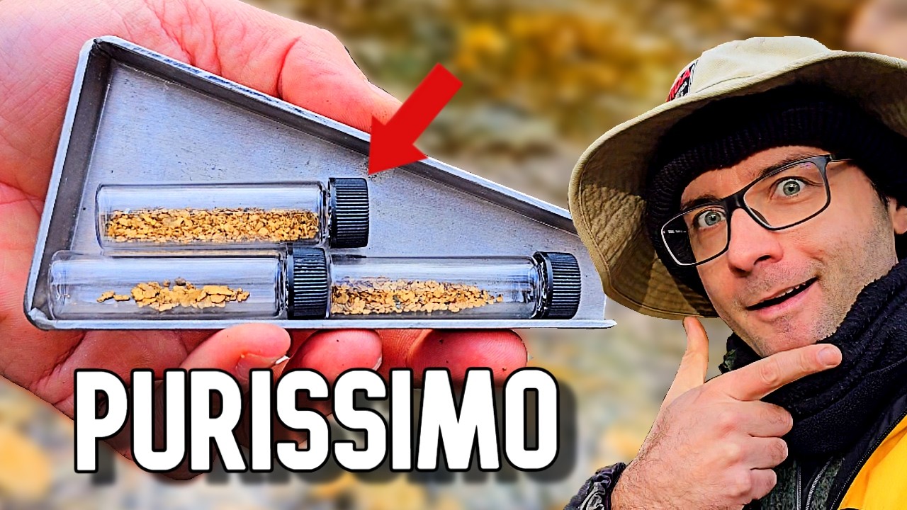 Peso Tutto l'Oro Trovato nel 2024 🤯 Gold Rush: La febbre dell'Oro