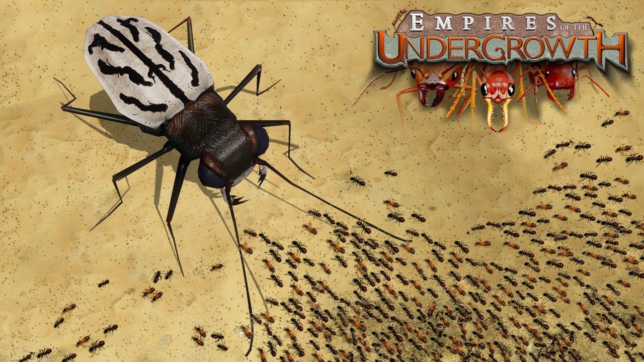 The GIANT BUGS Invade the ANT COLONY!!! | Empires Of The Undergrowth - Ep13