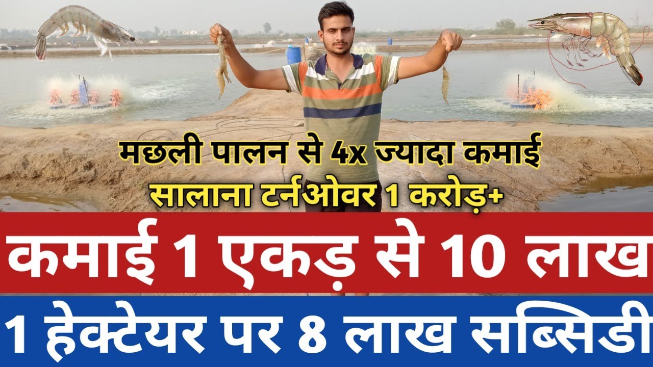युवा 1 एकड़ झींगा पालन से कमाता है 10 लाख - 1 से 14 एकड़ तक का सफ़र