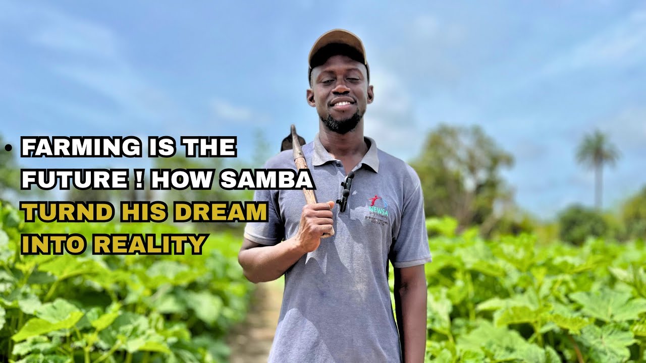 Meet The Young African Farmer Making Waves In Gambia | Samba’s Farm Life @AfriDiyataa