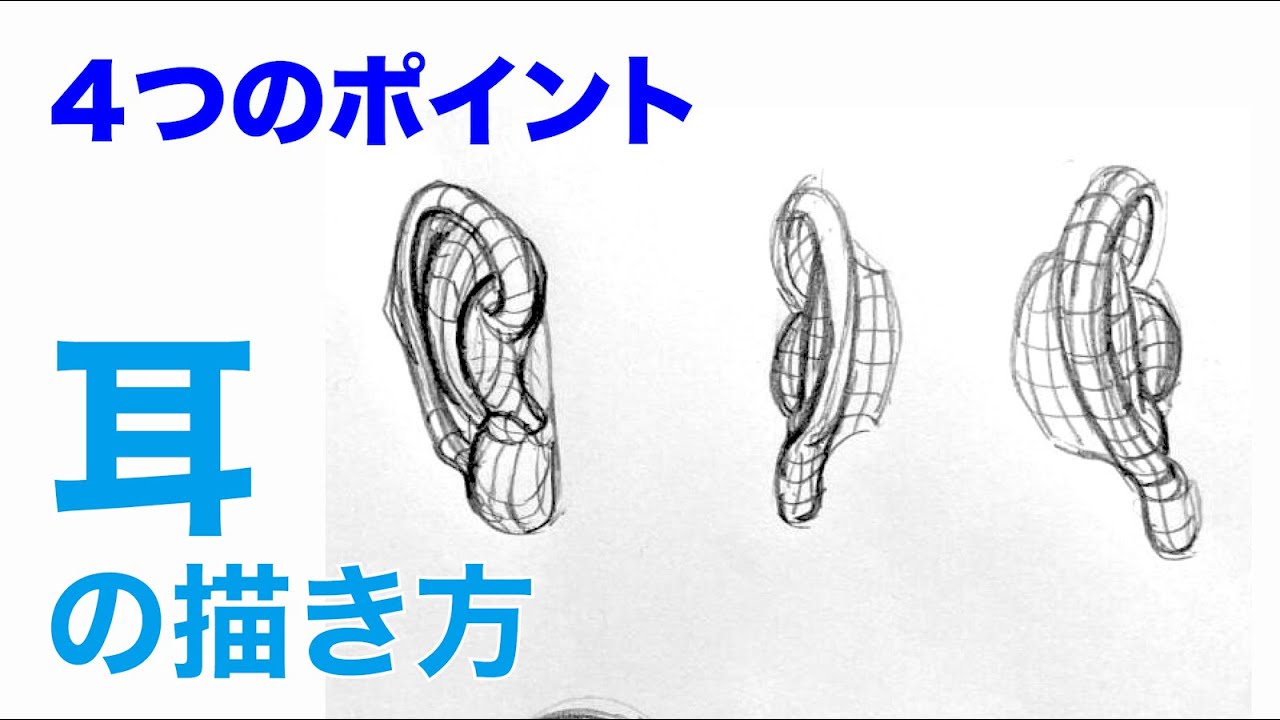 【デッサン初心者】耳の描き方４つのポイント