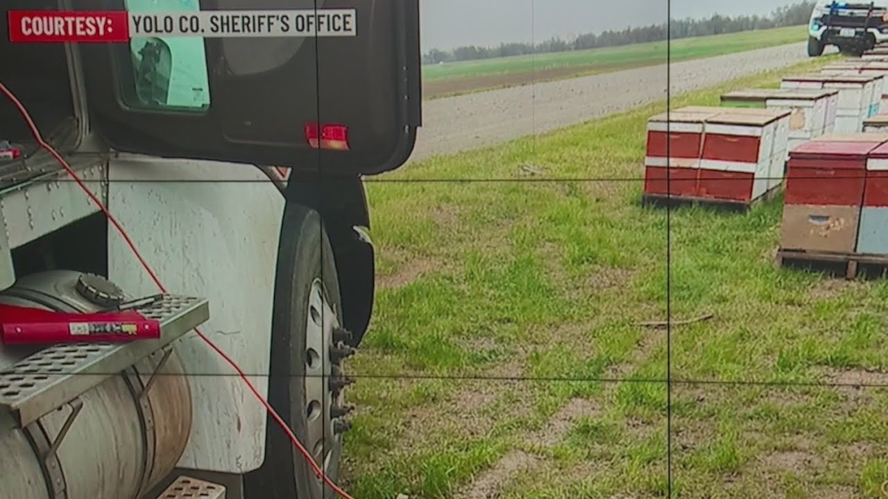 Stolen beehives sting in Yolo County