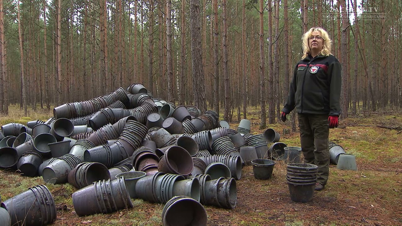Tausende Plastikeimer illegal im Wald entsorgt
