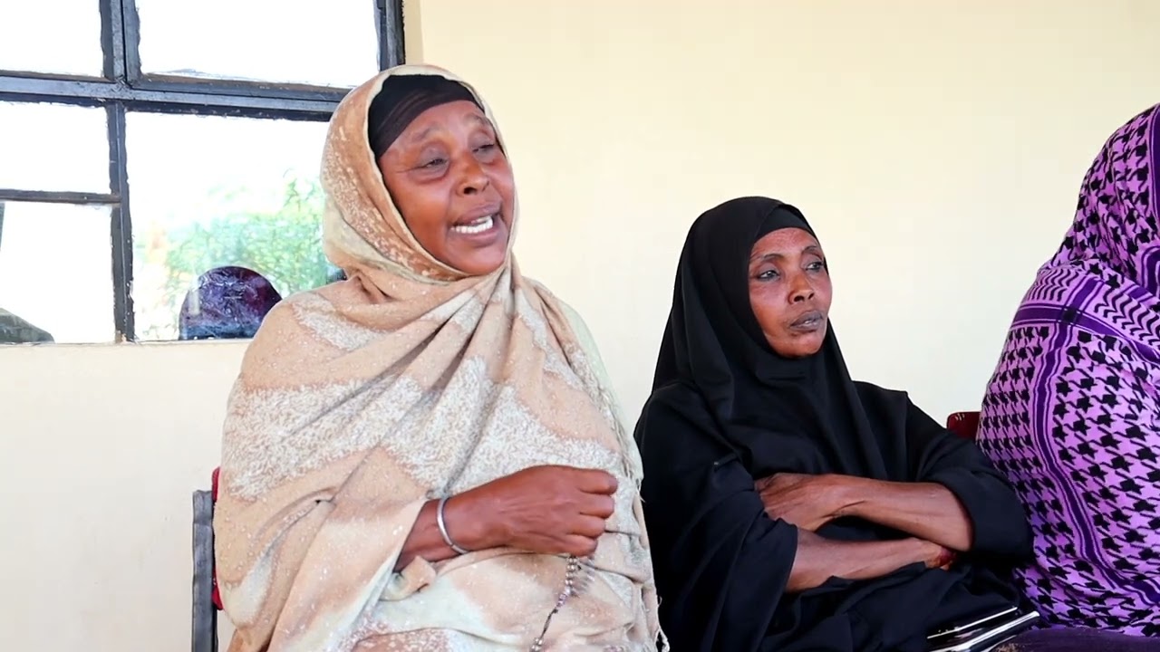 WALDAGENA GROUP BACKGROUND HISTORY, CHALLENGES THEY FACED AND HOW THEY OVERCAME THEM