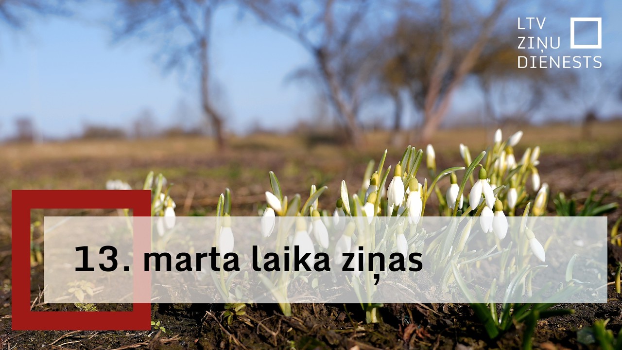 Piektdien pieņemsies spēkā vējš, vējainākā diena būs Kurzemē