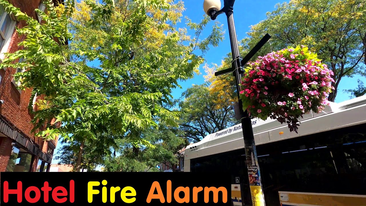Trying To Find Lego And Toys | Hotel Fire And Getting Lost | Exploring Hamilton Canada
