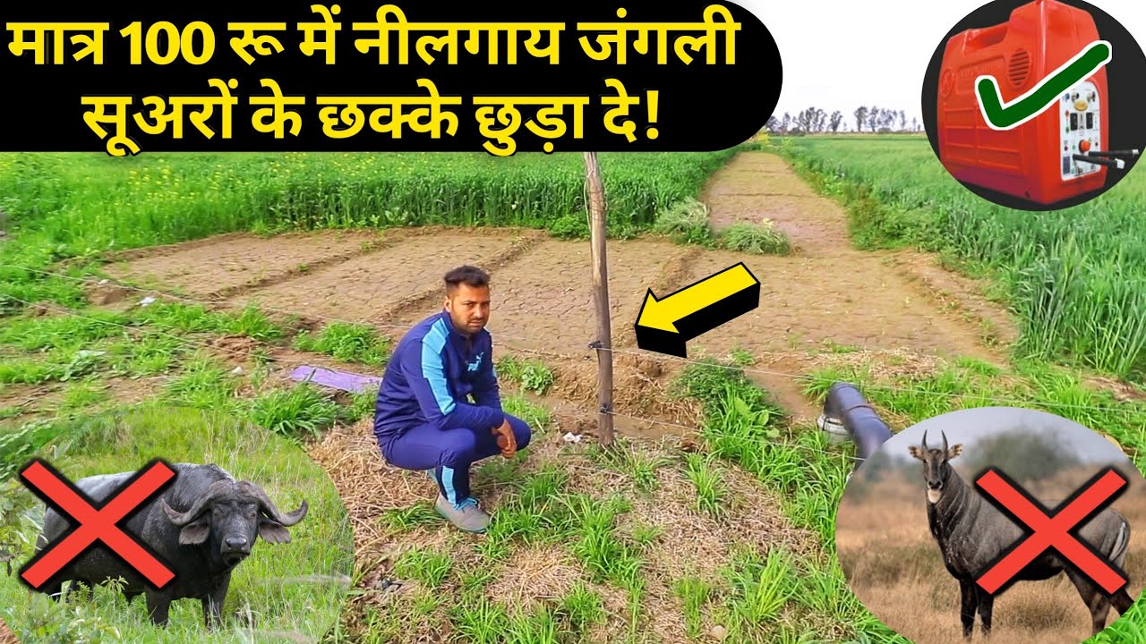 झटका मशीन नीलगाय इत्यादि से फसल सुरक्षा 📞7015994963  Jhatka Machine/Solar Fencing Price