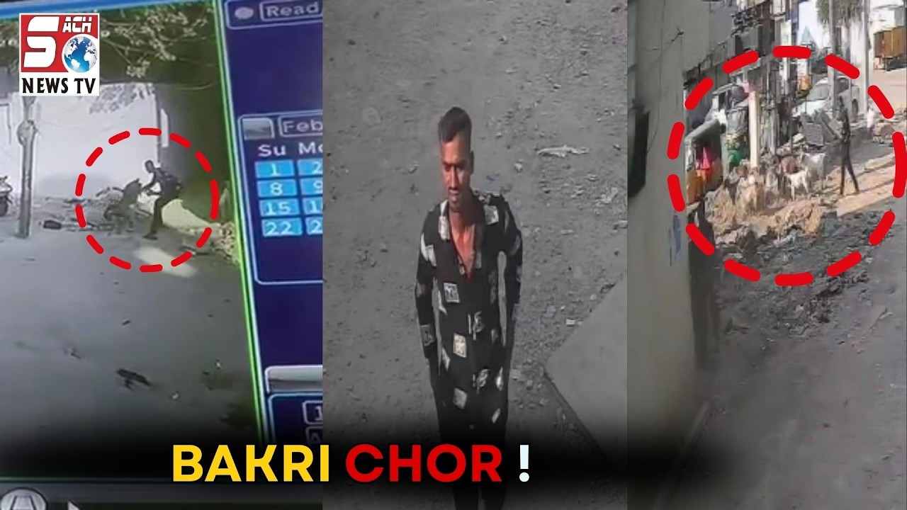 Khilwat Mein Chorii | Chor Ne Bakri Chori Karli | Dekhiye CCTV ? !