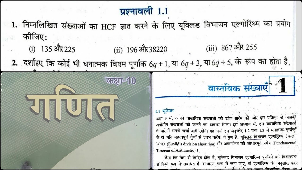 वास्तविक संख्याए (प्रश्नावली 1.1) | Class 10th | Chapter 1 | Bihar Board Maths