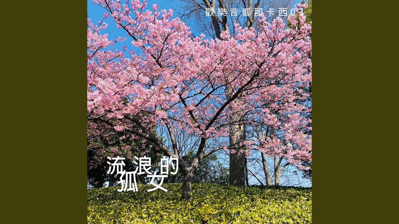天涯流浪兒