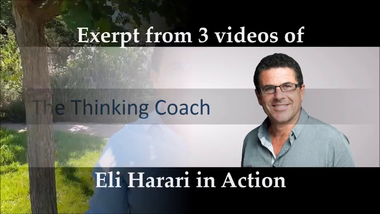 Website Introduction 2017 - The Thinking Coach