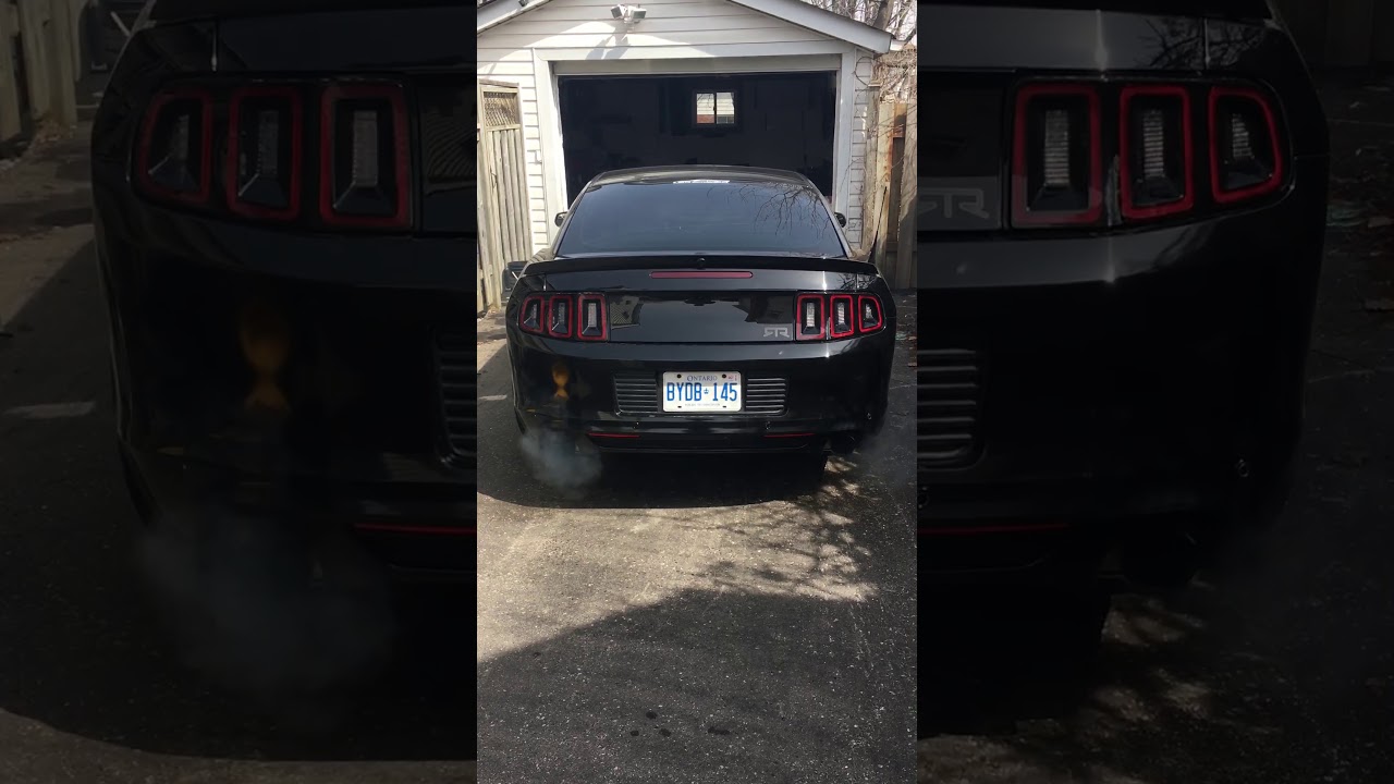 D1X Procharged Cobra Jet Coyote