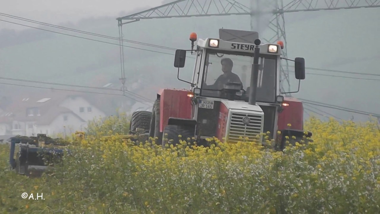 Steyr 8180 & Dalbo Maxiroll 630 Messerwalze in der Zwischenfrucht // ASR Agrarservice Rimbach