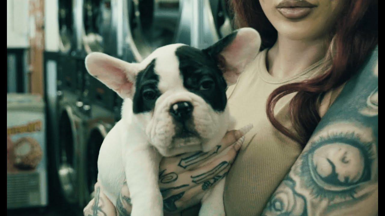 Lady XO - 