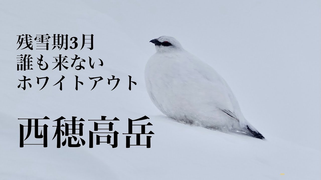 【残雪期3月】西穂高岳【降雪、風、ガス……】