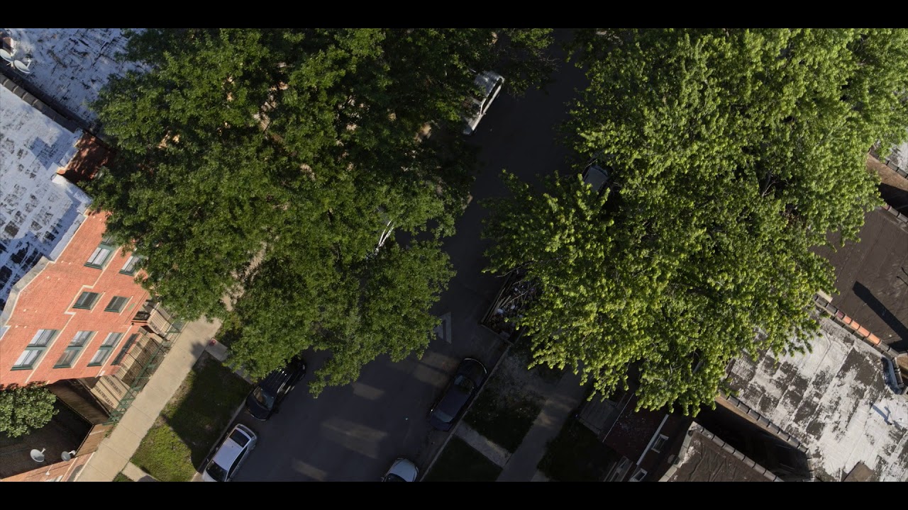 Theaster Gates Home Teaser