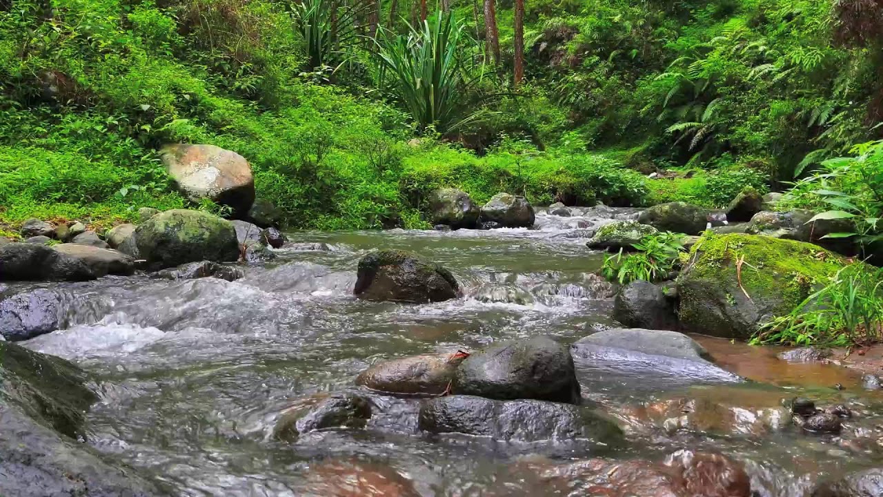 Deep Calm River – 10 Hours of ASMR for Focus, Anxiety & Stress Recovery