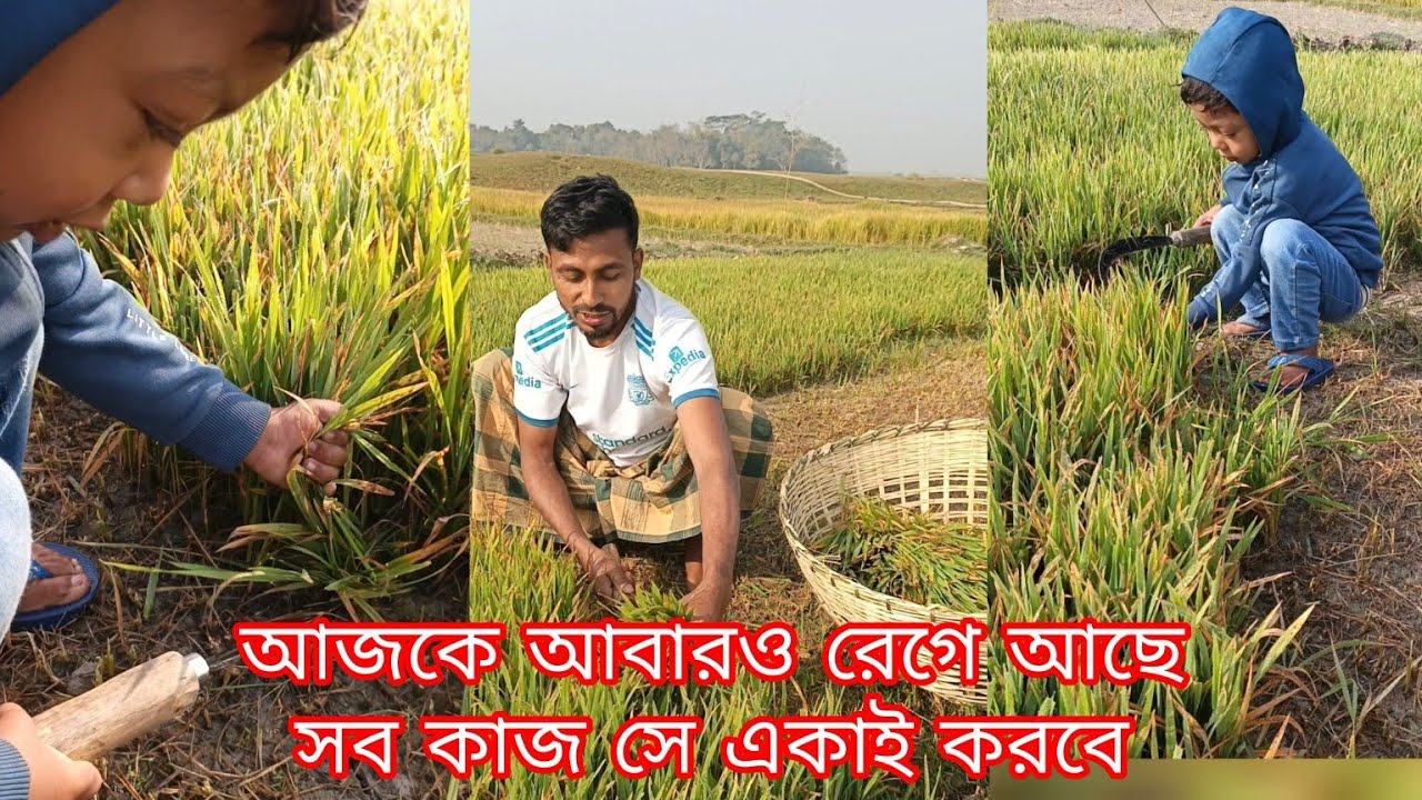 village lifestyle with  muzahid bin habib @VillageAgro25 