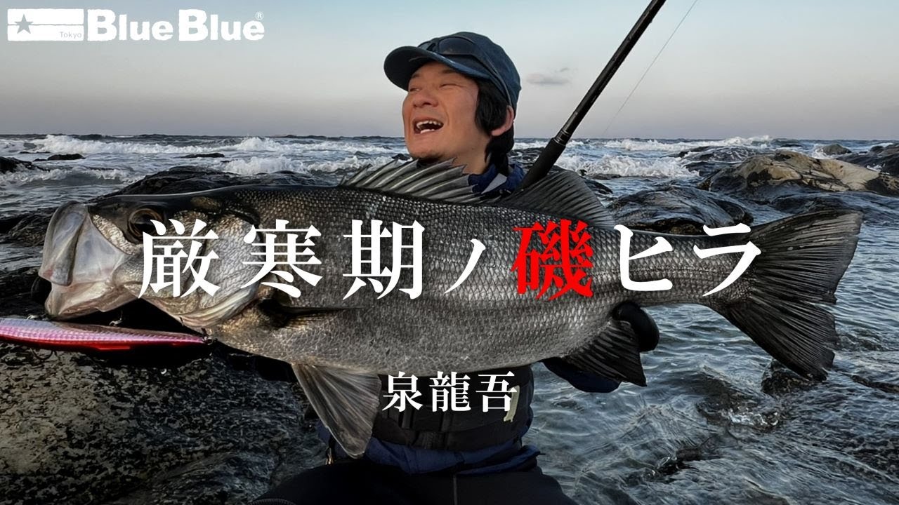 Я пытался поймать «Afterspawn Blackfin Black-fin seabass»! РЮГО ИЗУМИ