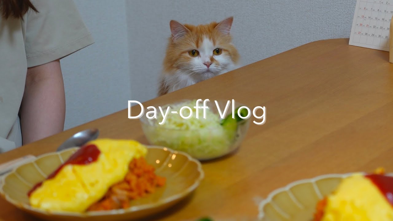 【猫のいる暮らし】猫と暮らす夫婦の休日vlog#3｜the Farm GARDEN 大阪