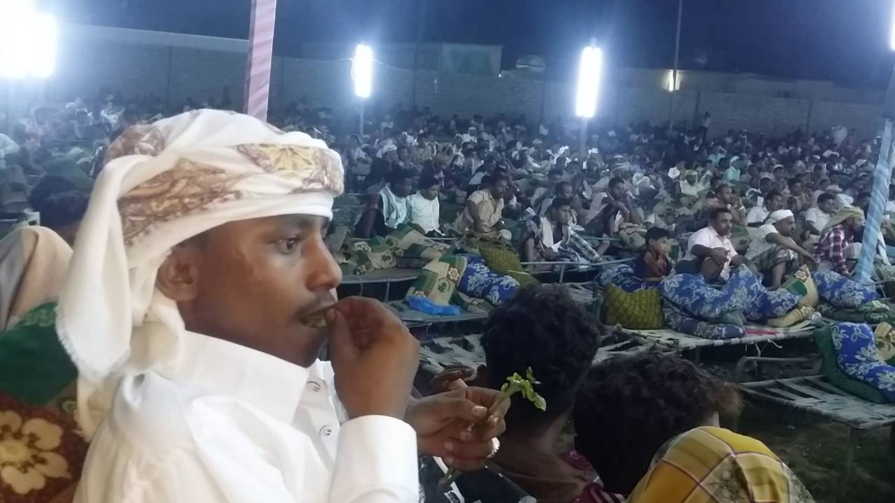 اليمن عرس بني الخليل زبيد الفنان حمود السمه