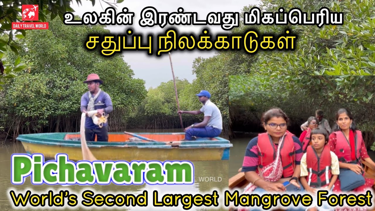 Pichavaram Forest Boating Complete Guide | World's 2nd Largest Mangrove Forest #pichavaram #mangrove