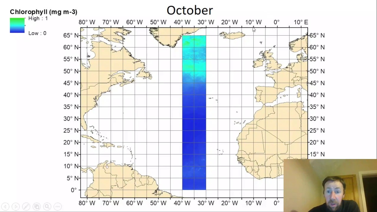 Open Ocean productivity - revision lecture