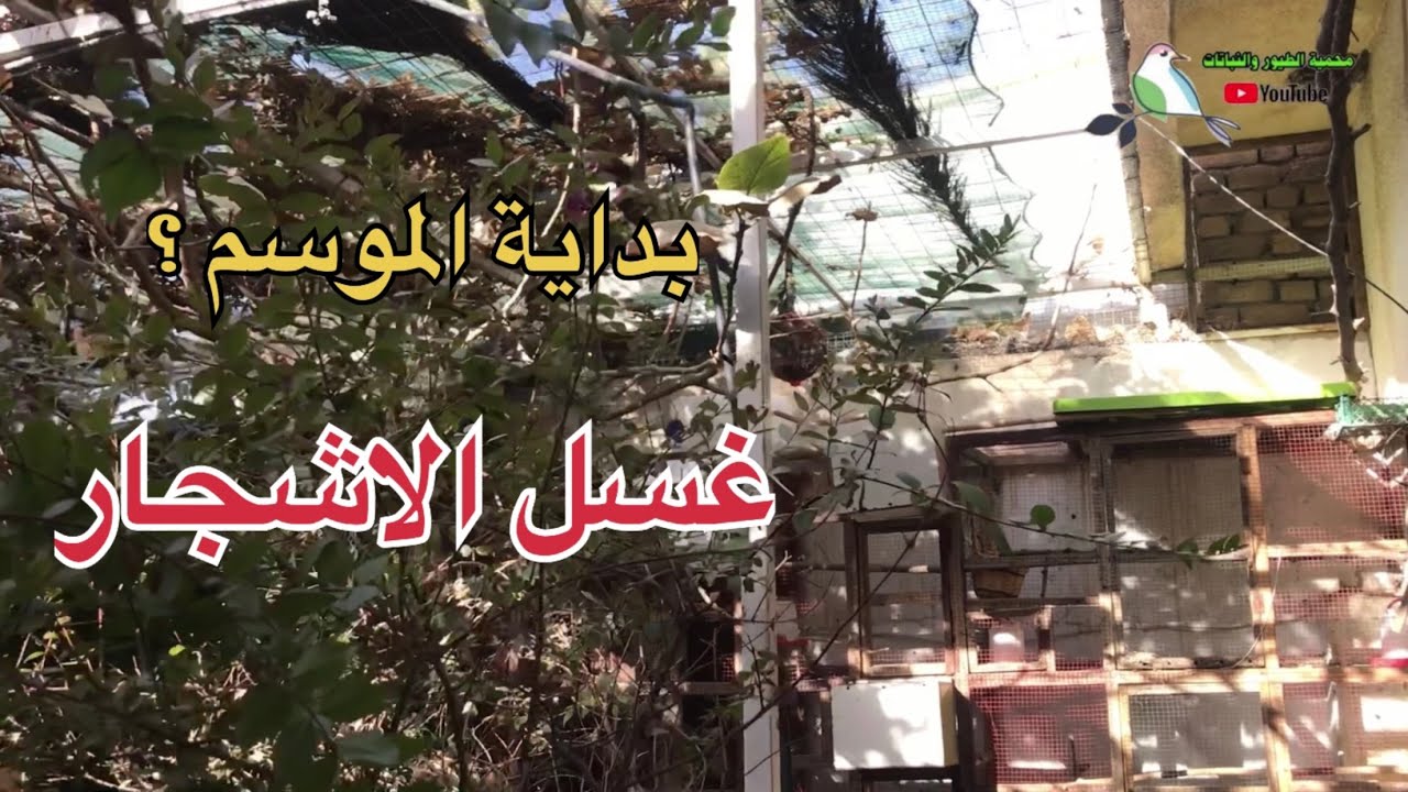 صورنالكم المحمية والطيور 🌱وغسل الاشجار 👉