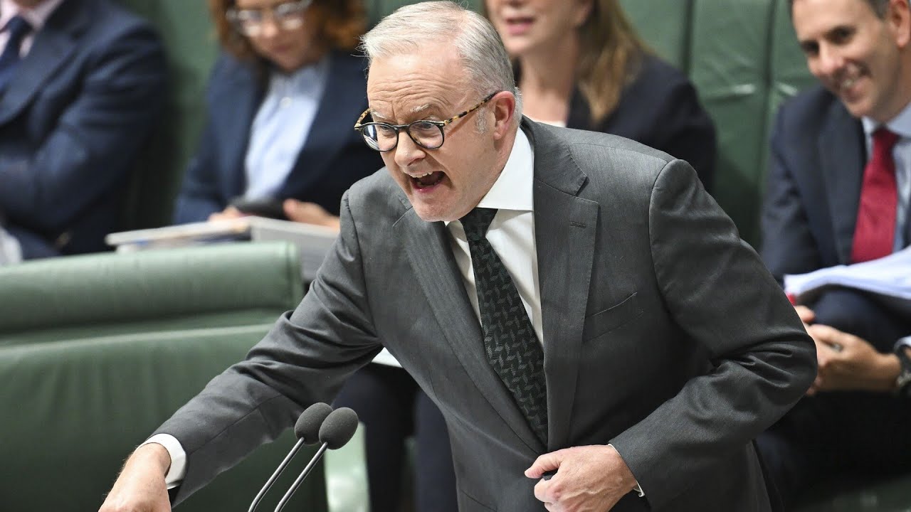 Albanese resorts to &lsquo;straw man argument&rsquo; during fuel crisis debate