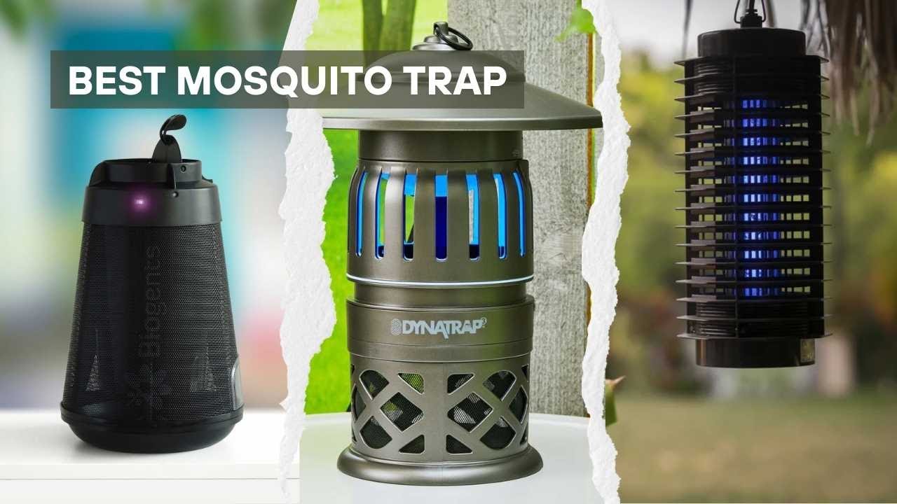 7 Best Mosquito Trap 2025! Battle of the Bug Zappers