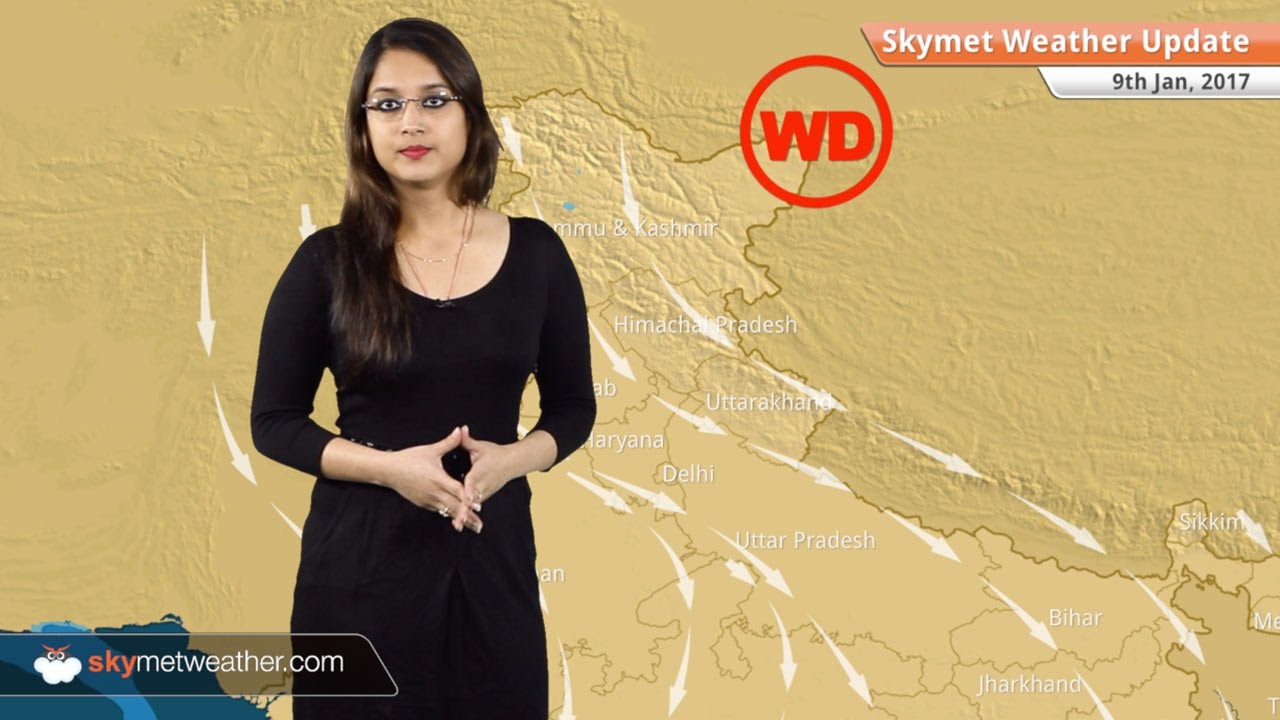 Weather Forecast for Jan 9: Fog in UP, Bihar; Minimums to drop over northern plains