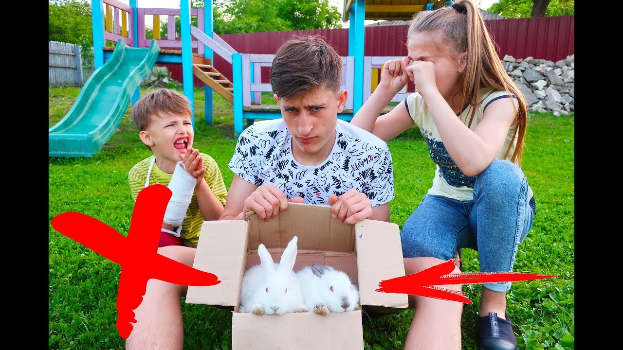 Dani INTERZICE copiilor să se JOACE cu Iepurașii! Sketch