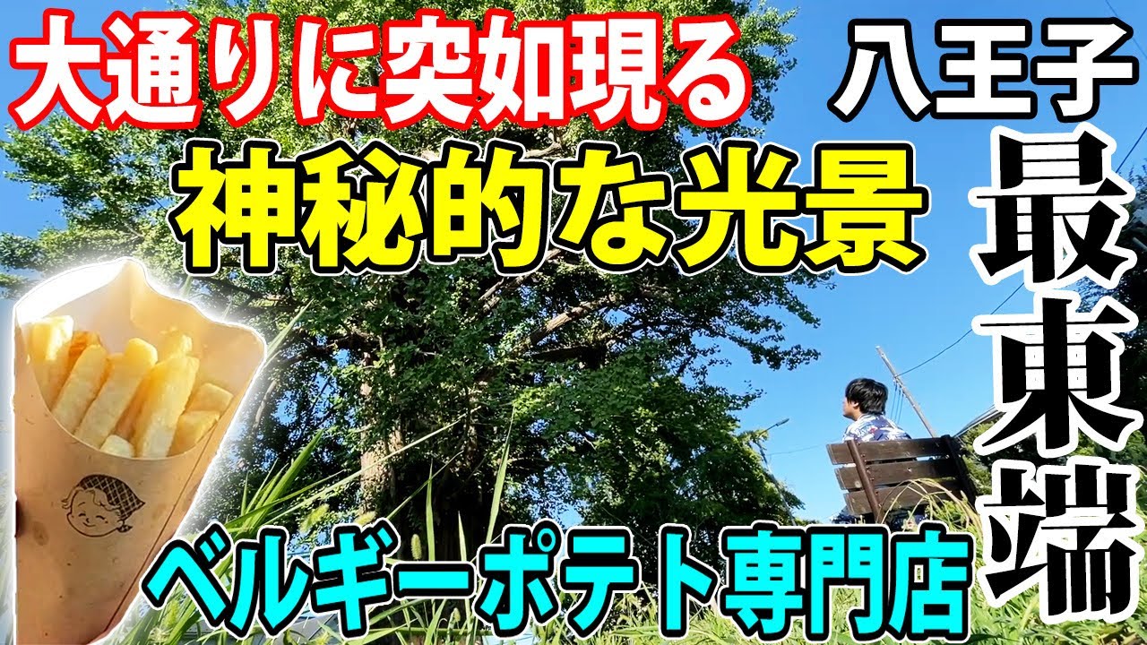 【街歩き】八王子の最東端を歩く。大通りの神秘的光景や激ウマポテトに出会いました！