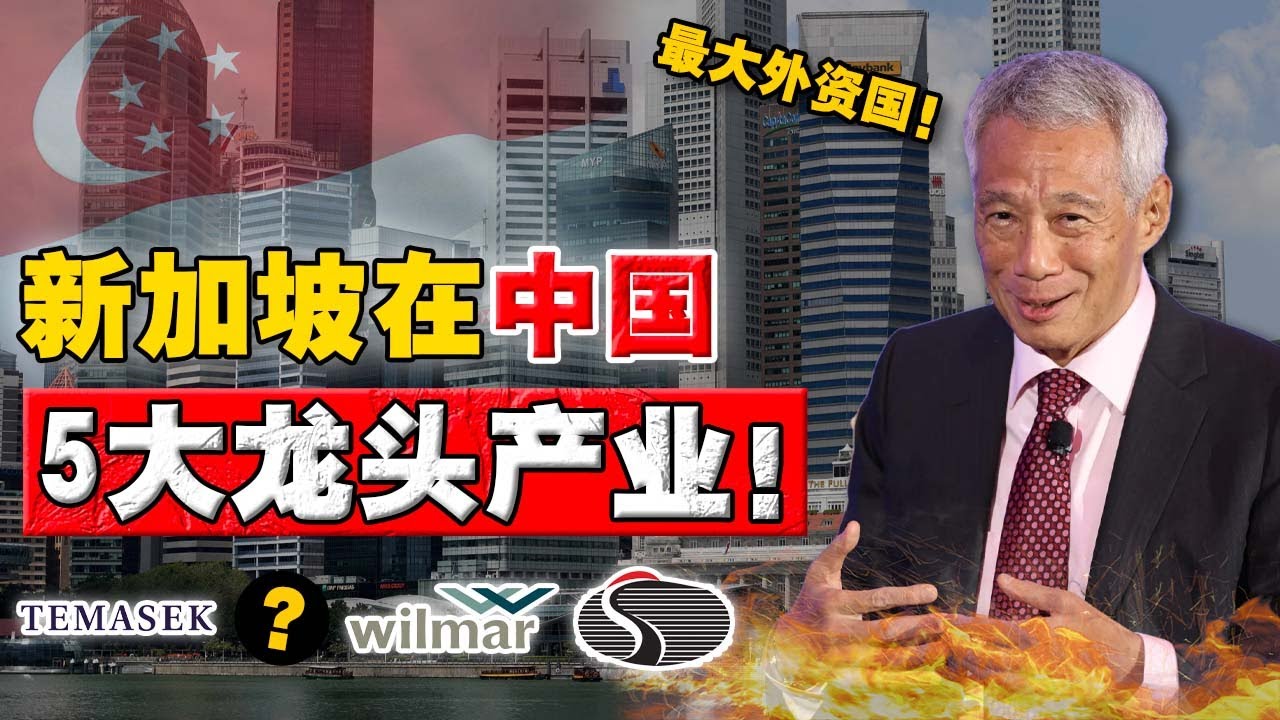 2025中国最大外资国：新加坡！原来这些中国很火的企业，背后都是新加坡身影！90%人都误解