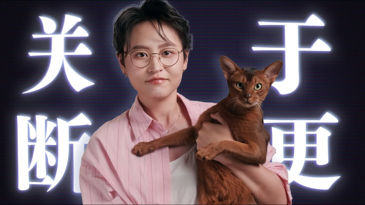 失踪四年的不知名养猫博主回归