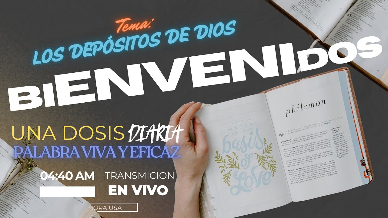 SilviaCalix está en vivo