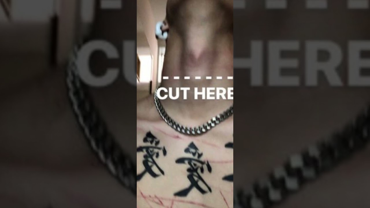 DADA     働きアリ🐜🐜