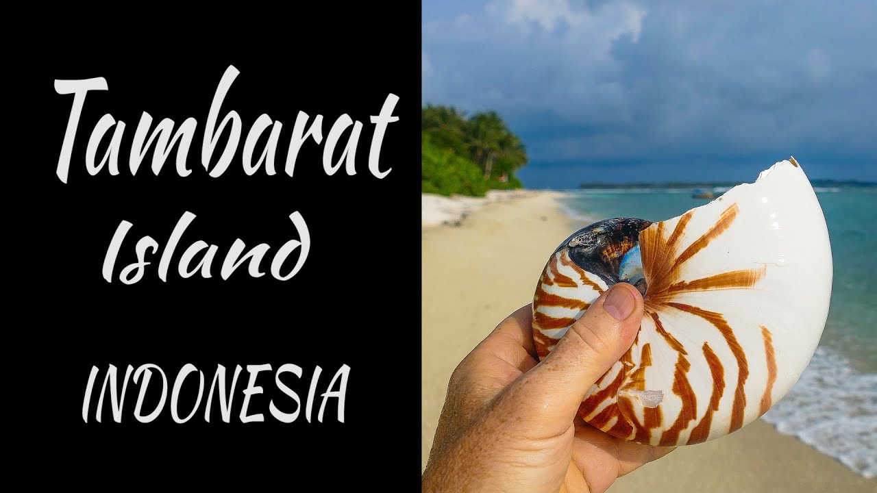 Почувствовать себя Робинзоном. Tambarat Island / Pulau Banyak, Sumatra, Indonesia [RU/EN]