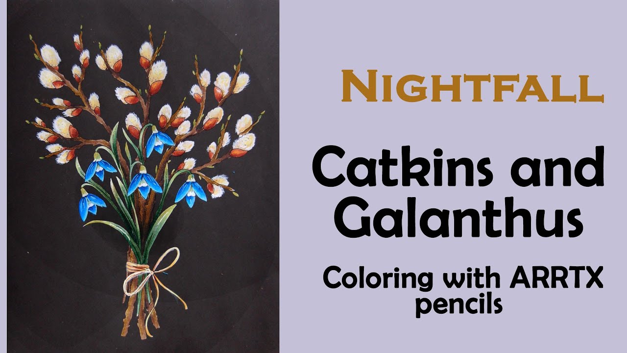 Coloring with ARRTX pencils in 'Nightfall'  #adultcoloring